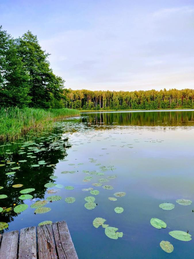 Kujanki - Domki Z Widokiem Na Jezioro Zakrzewo  Exteriér fotografie